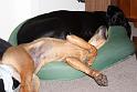 Sandy and Bas_10733